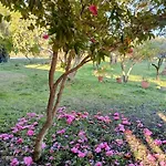 Hébergement de vacances El Encanto Villanueva De La Vera