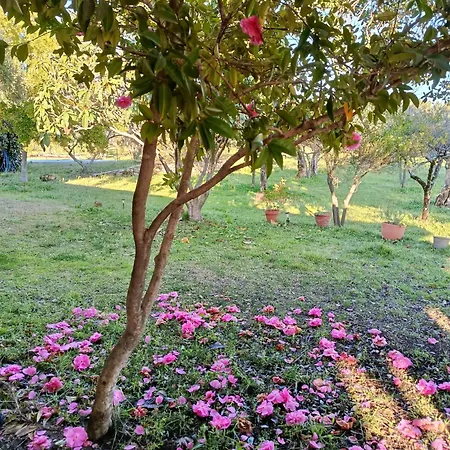 Holiday home El Encanto Villanueva De La Vera