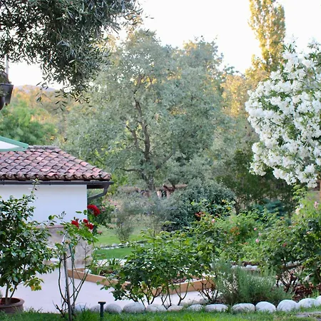 El Encanto *