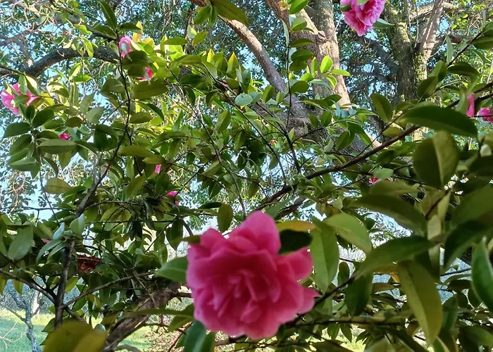 El Encanto Villanueva De La Vera