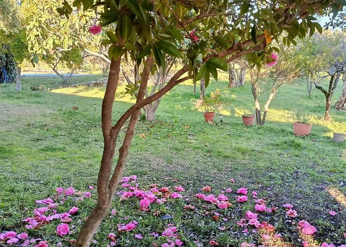 Vakantiehuis El Encanto Villanueva De La Vera